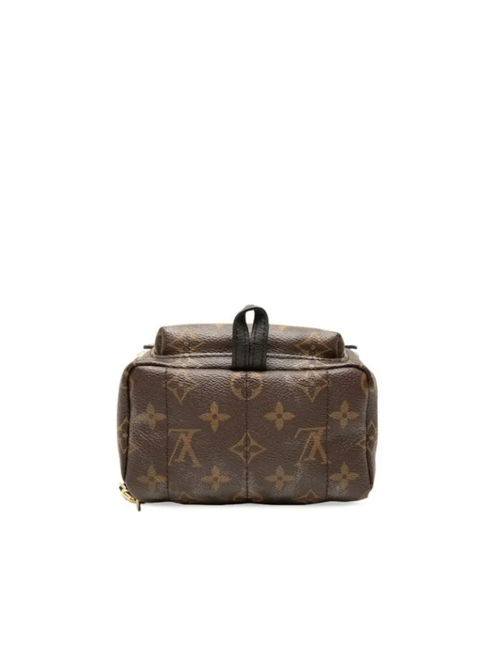 Louis Vuitton Monogram Palm Springs Mini Backpack Brown Leather